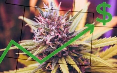 Fewer Teens are Seeking Treatment for Cannabis Use in Legal States