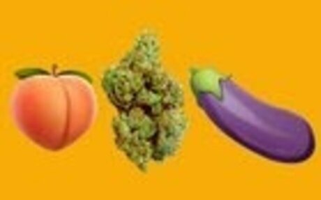Question about Dispensaries + state laws in Illinois~