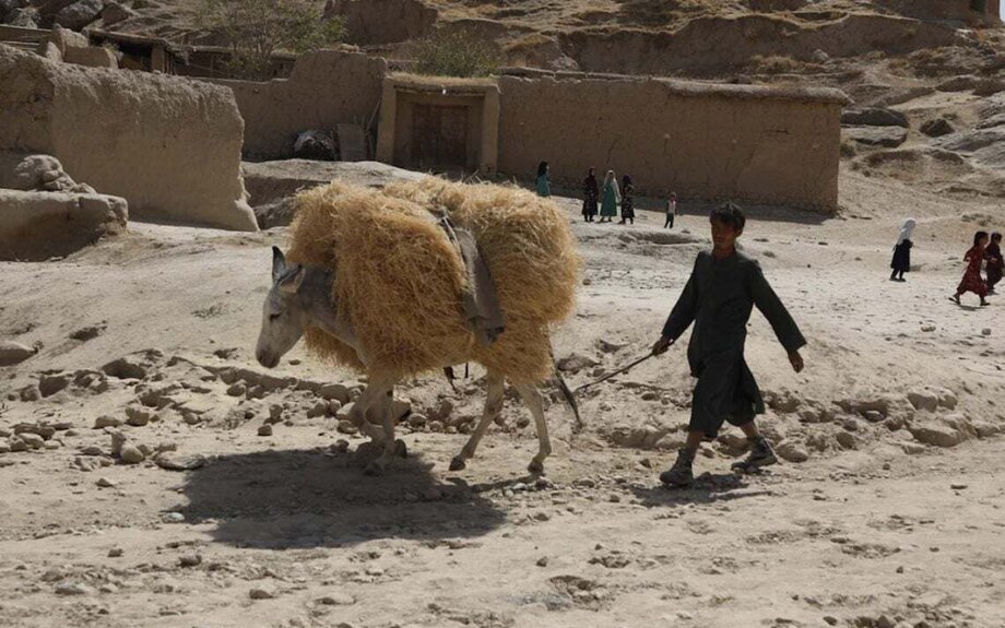 L'Afghanistan parmi les pays les plus vulnérables du monde au changement climatique
