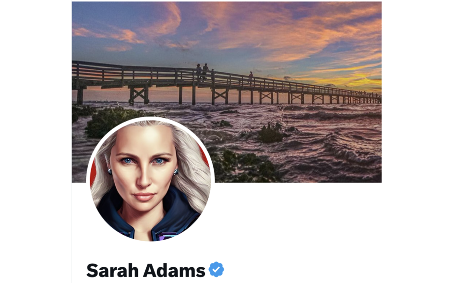 Sarah Adams on Twitter / X