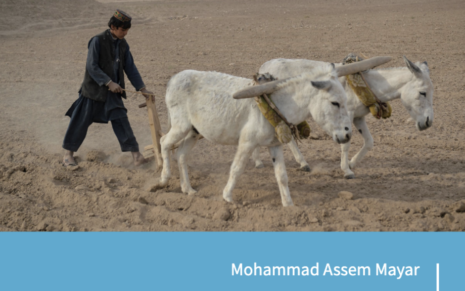 Les Conséquences Économiques du Changement Climatique en Afghanistan : Une Crise Ignorée