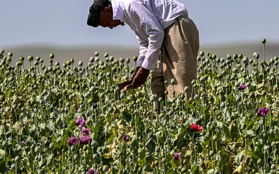 The Taliban’s harder task to turn conquest into control