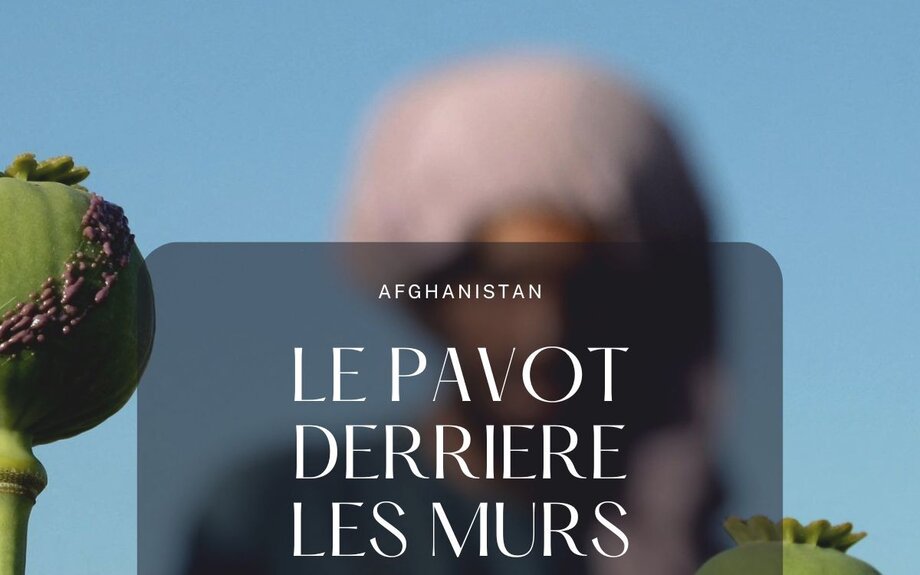 Le pavot derrière les murs - LA LETTRE d'AFGHANISTAN
