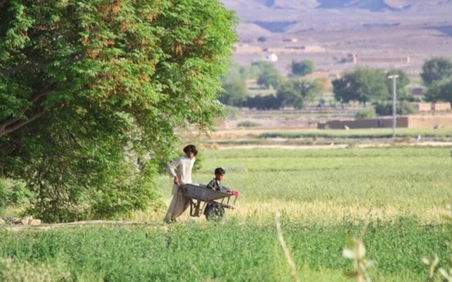 Khar Qamar sept ans après et la crise non résolue des droits des Pachtounes