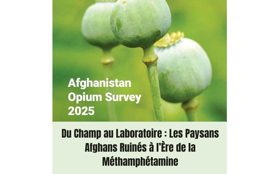 Du Champ au Laboratoire : Les Paysans Afghans Ruinés à l’Ère de la Méthamphétamine - LA...