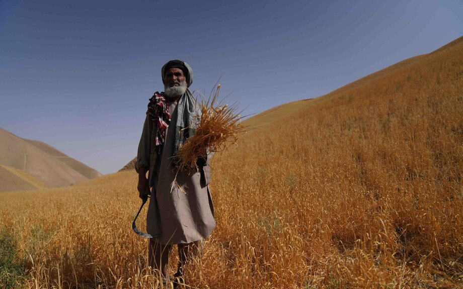 Eau, climat et survie en Afghanistan : un dossier de rapports sur l'environnement 