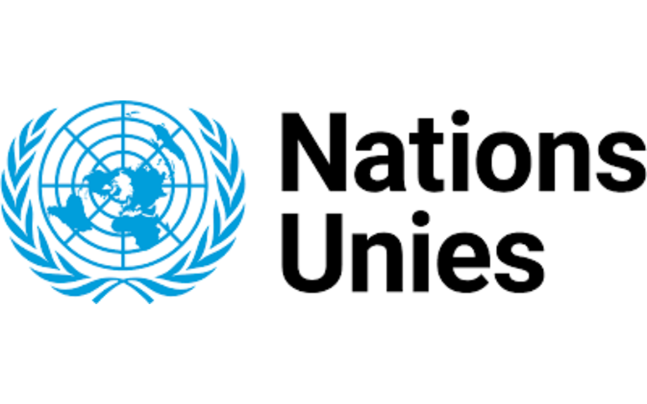 ONU, Conseil de Sécurité juin 2025