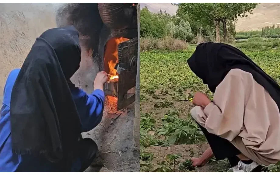 Comment l'interdiction de l'éducation en Afghanistan a brisé la vie des femmes rurales