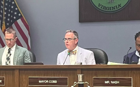 Roanoke council creates 'professional standards' committee after data center clash