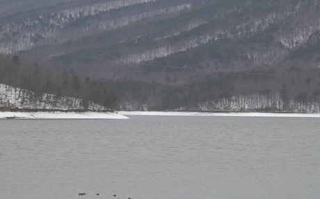 Virginia lawmakers look to address data center water use