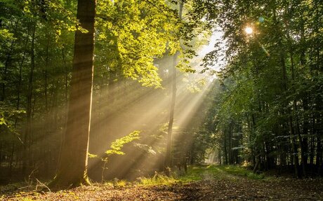 FOIA Enforcement Bill with a Local Tie Passes Virginia House of Delegates Unanimously