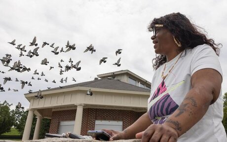 Inside the cellphone locator tool City Hall uses to track park visitors