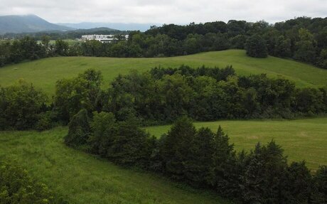 Water authority will not provide 10 million gallons a day to Google data center
