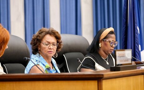 Council committee punts on transparency measures after shutting down discussion