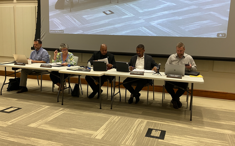 Martinsville council may dissolve Citizen Advisory Committee