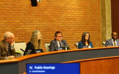 Blacksburg faces 'cloud of distrust' after council proposes names for vacant seats