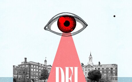 How a network of pink-slime sites and conservative activists went after campus DEI.