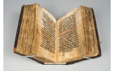 Pausa para el café: Medicina del estilo de vida, más charlatanería, manuscritos antiguos, salud intestinal y...
