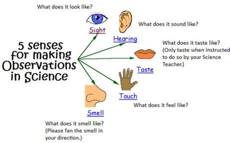 Observing Time Science How Do Scientists Observe