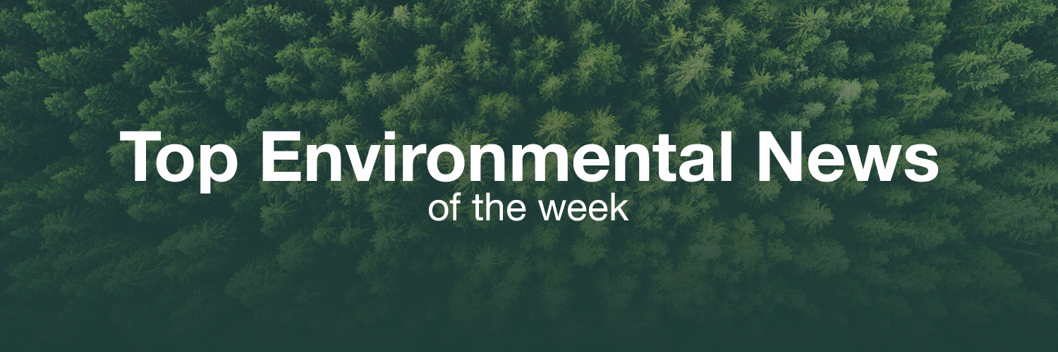 Headlines Examples Environment Environmental News Template | elink