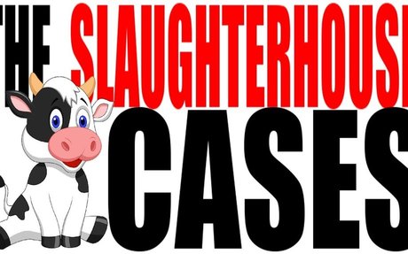 The “Slaughter House Cases” | elink